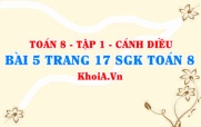 Bài 5 trang 17 SGK Toán 8 tập 1 Cánh Diều